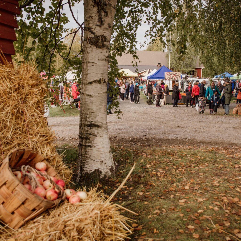 Rutalahden Markkinat. Etualalla korillinen omenoita ja koivu.