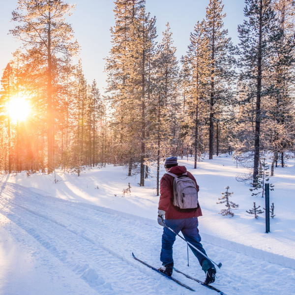 Punatakkinen hiihtäjä metsässä.