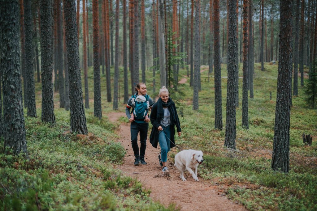 Outdoor Express - Leivonmäen kansallispuistoon bussilla Jyväskylästä